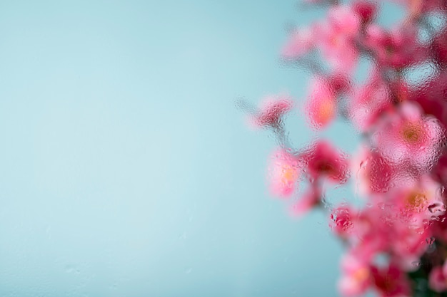 Photo gratuite belles fleurs vues derrière le verre d'humidité