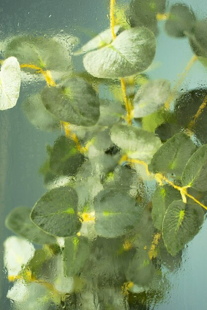 Belles fleurs vues derrière le verre d'humidité