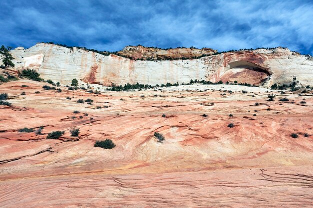 Belles pentes du canyon de Zion. Utah. ETATS-UNIS.
