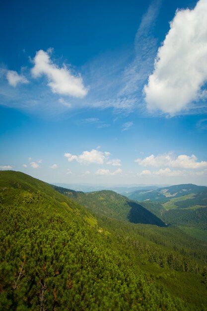 Belles prairies sur les montagnes