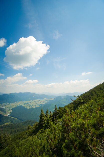 Belles prairies sur les montagnes