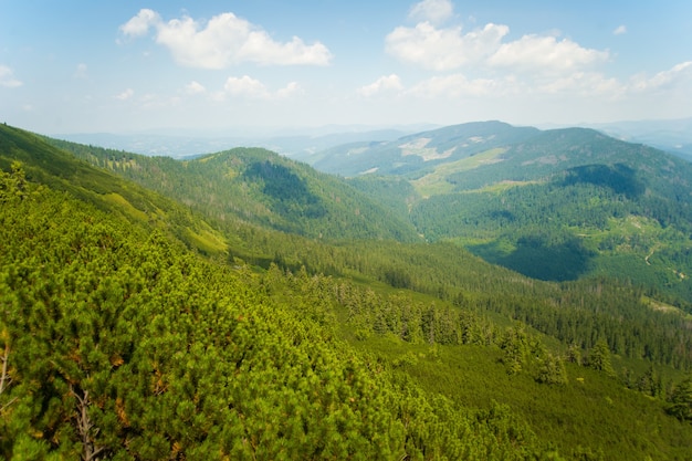 Belles prairies sur les montagnes