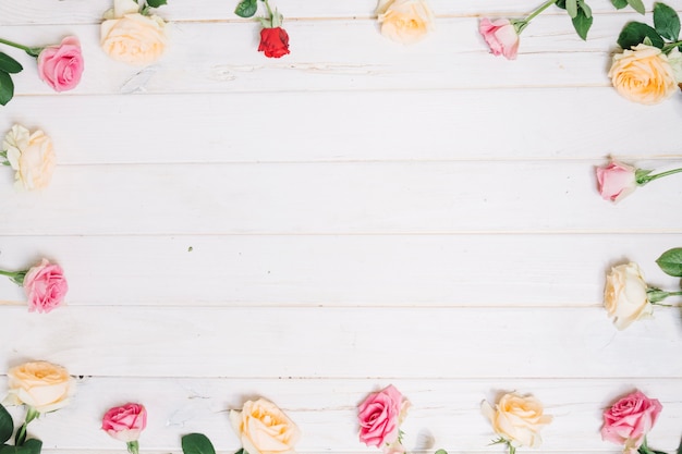 Belles roses sur la table