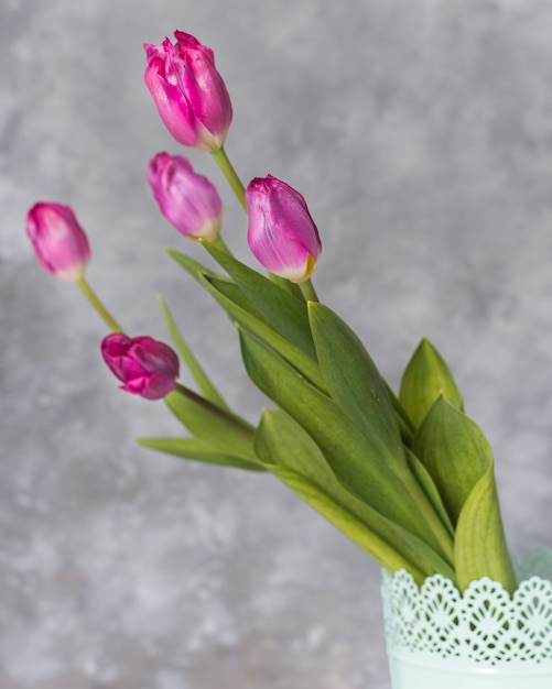 Photo gratuite de belles tulipes naturelles se bouchent