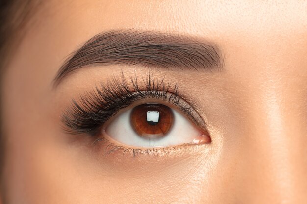 Bien entretenu. Portrait de la belle jeune femme sur fond de studio blanc. Concept de cosmétiques, maquillage, traitement naturel et écologique, soins de la peau. Look brillant et sain, mode, soins de santé. Copyspace.