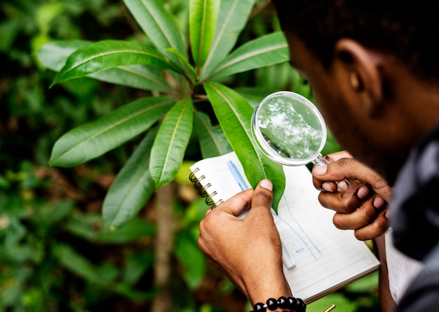 Biologiste dans une forêt