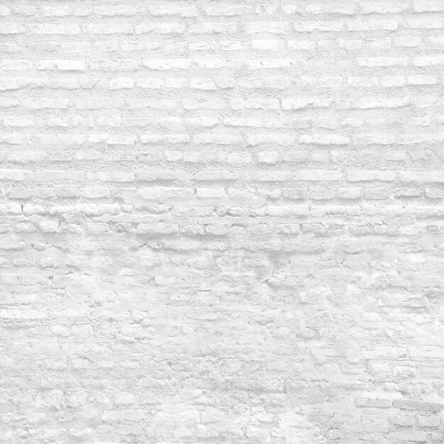 Blanc mur de briques