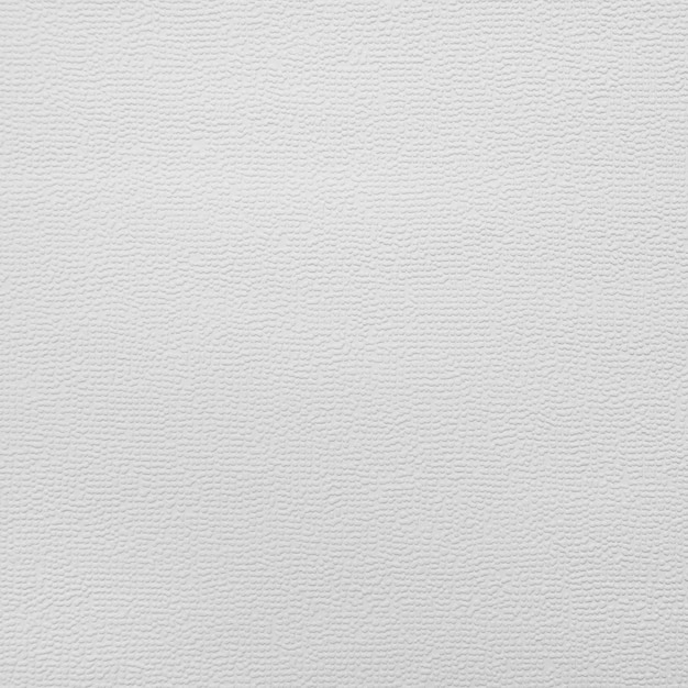 blanc rought texture du mur