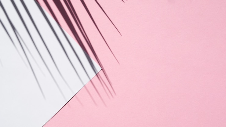 Photo gratuit bleu pâle vierge sur fond rose avec une ombre de feuille
