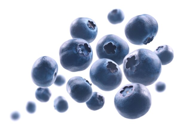 Des bleuets mûrs lévitent sur un fond blanc