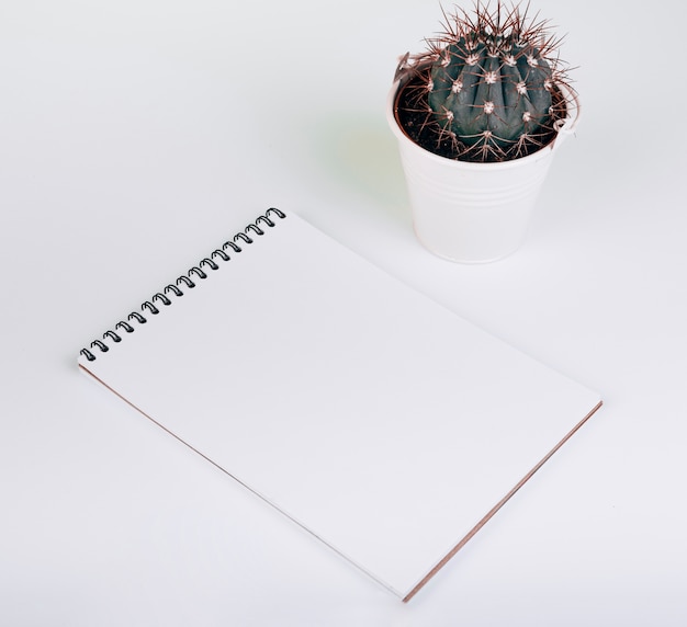Photo gratuite bloc-notes spirale vide près du seau de cactus sur fond blanc