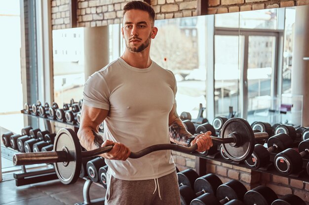 Bodybuilder tatoué attrayant fait ses exercices avec des haltères dans la salle de gym. Il y a un miroir et des haltères derrière lui.