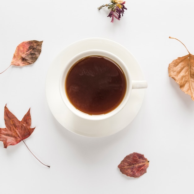 Boisson chaude avec des feuilles sèches sur une surface blanche