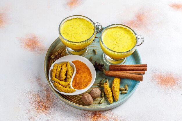 Photo gratuite boisson indienne traditionnelle au curcuma au lait doré.