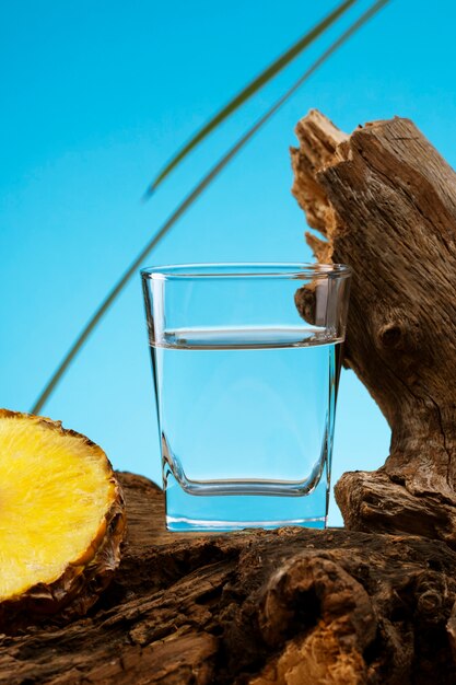 Boisson de sotol avec de l'ananas et de la nature morte