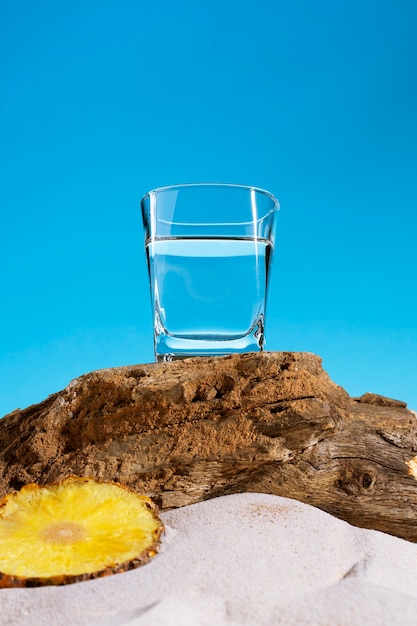 Photo gratuite boisson de sotol avec de l'ananas et de la nature morte