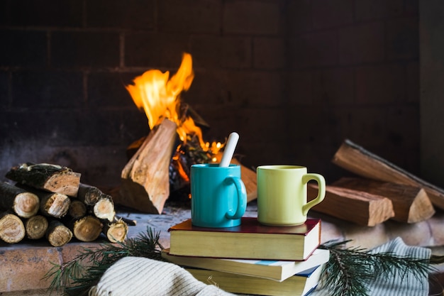 Photo gratuite boissons et livres près de la cheminée