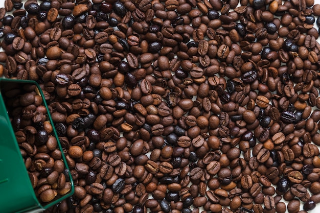 Boîte sur les grains de café