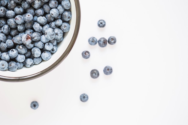 Bol de bleuets sur fond blanc