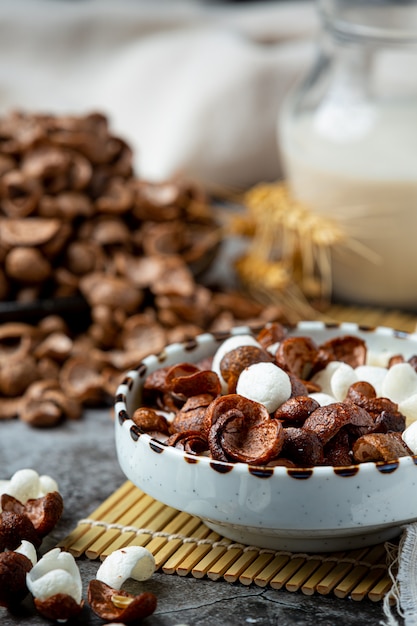 Un bol de céréales, céréales au chocolat mélangé avec du lait pour le petit déjeuner.