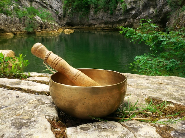 Photo gratuite bol chantant placé dans la nature avec la rivière en arrière-plan