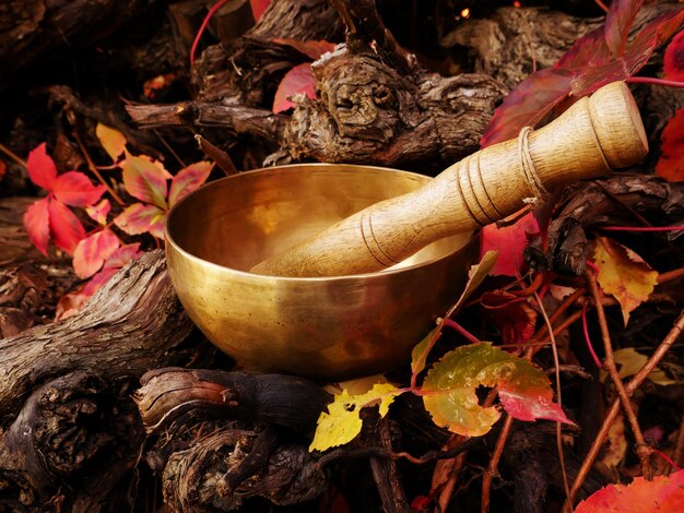 Bol chantant placé sur un tronc d'arbre entouré de feuilles d'automne