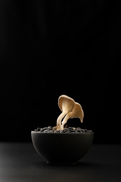 Bol noir avec des haricots et des champignons sur une table sombre
