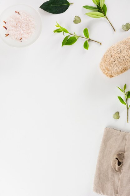 Bol de sel aux herbes; feuilles et luffa isolés sur fond blanc