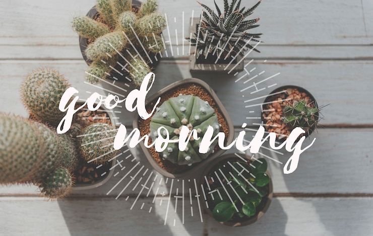 Photo gratuit bonjour mot avec fond de cactus.
