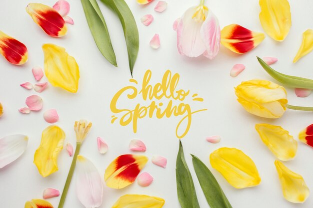 Bonjour mot de printemps et pétales de fleurs