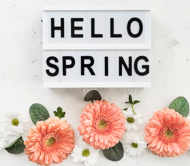 Photo gratuite bonjour signe de printemps avec des fleurs de gerbera et des marguerites