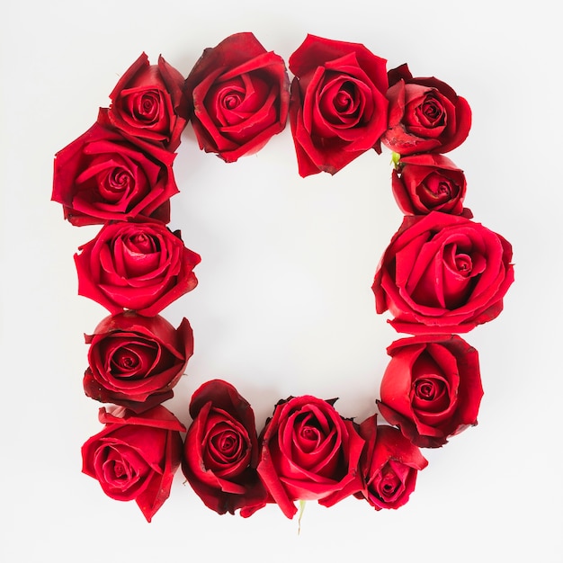 Bordure de cadre faite avec des roses rouges sur fond blanc