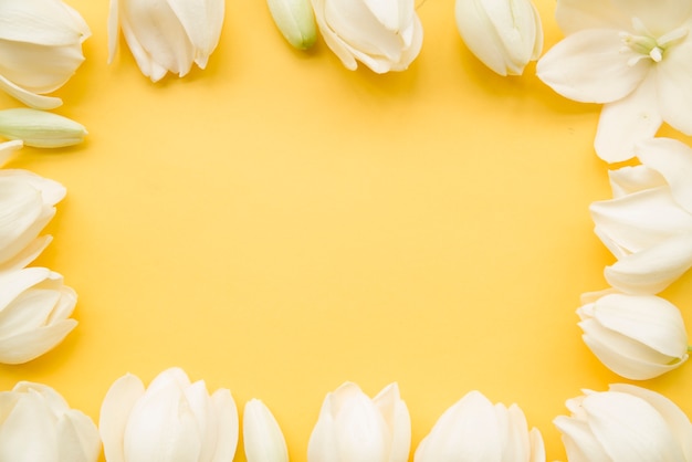 Photo gratuite bordure de fleur blanche sur fond jaune avec espace de copie pour le texte