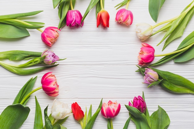 Photo gratuite bordure de tulipes brillantes