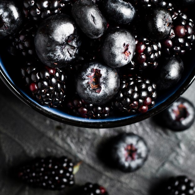 Bouchent les fruits noirs de la forêt en pot