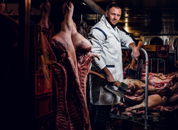 Le boucher en tenue de travail posant avec deux haches dans un entrepôt frigorifique au milieu de carcasses de viande