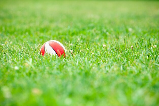 Photo gratuite boule de jouet dans l'herbe verte