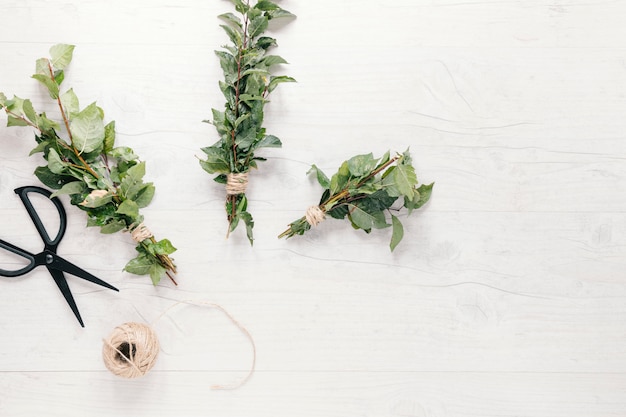 Photo gratuite bouquet de brindilles de plantes attachées avec une ficelle et des ciseaux sur fond blanc