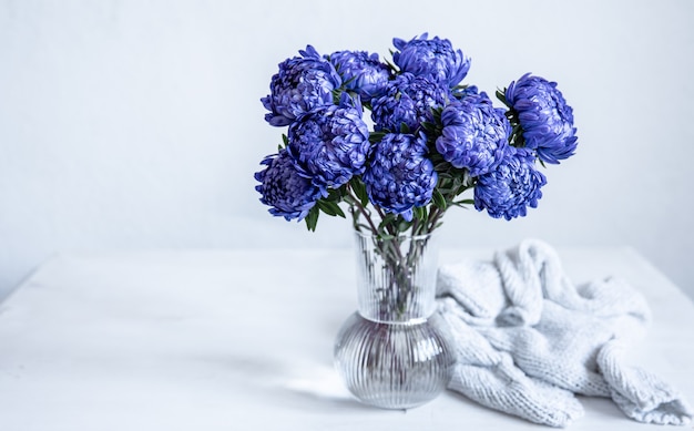 Un bouquet de chrysanthèmes bleus dans un vase en verre et un élément tricoté sur fond blanc, copiez l'espace.