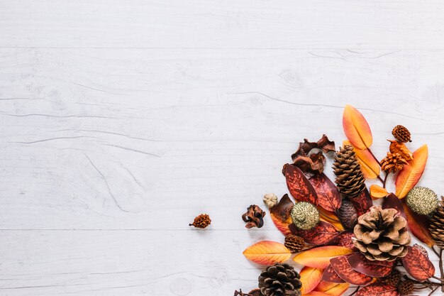 Bouquet de feuilles multicolores