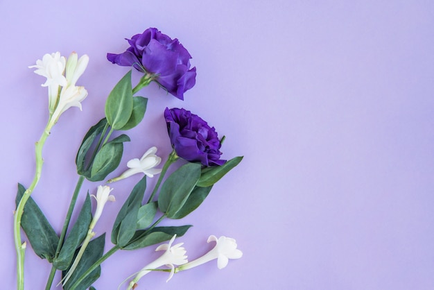 Bouquet de fleurs blanches et bleues