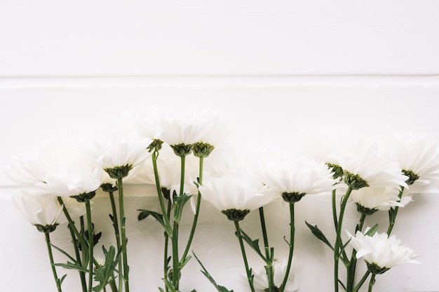 Photo gratuite bouquet de fleurs blanches devant un fond en bois blanc horizontal