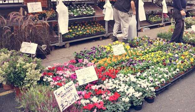 Photo gratuite bouquet de fleurs florales décoration vibrante