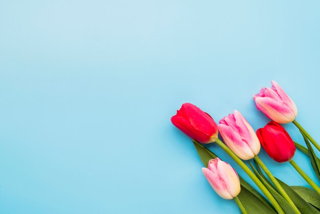 Bouquet de fleurs fraîches colorées sur les tiges