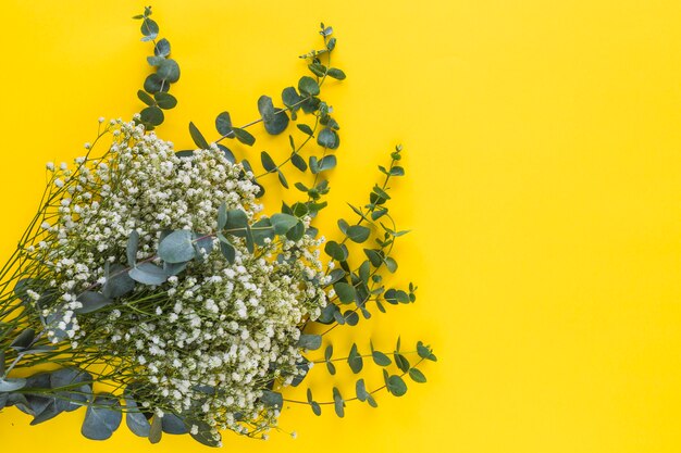 Bouquet de fleurs d&#39;haleine de bébé et feuilles sur fond jaune