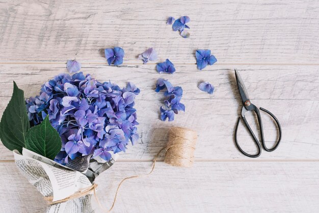 Bouquet de fleurs d&#39;hortensia pourpre noué avec une bobine et des ciseaux sur une table en bois