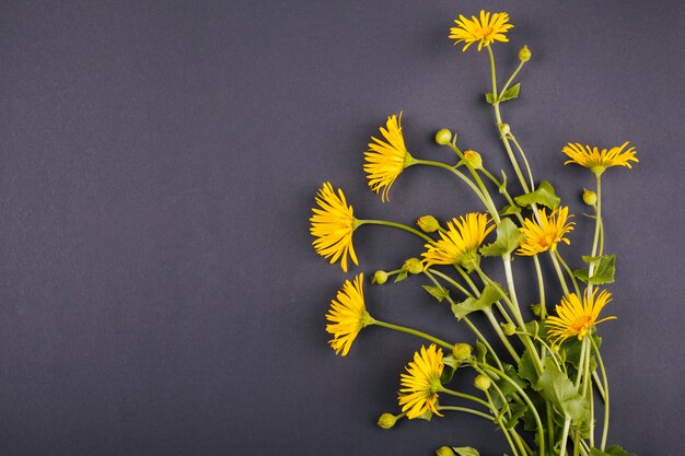 Bouquet de fleurs de marguerite