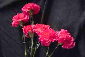 Photo gratuite bouquet de fleurs roses fraîches