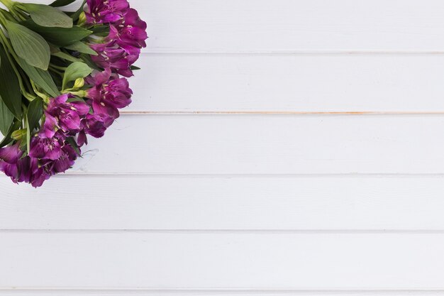 Bouquet de fleurs violettes sur blanc