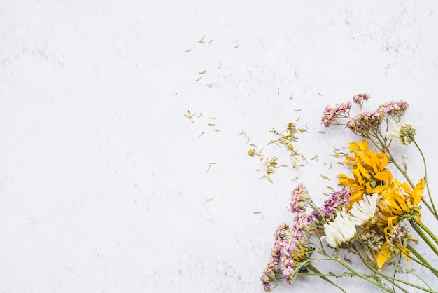 Bouquet de fleurs